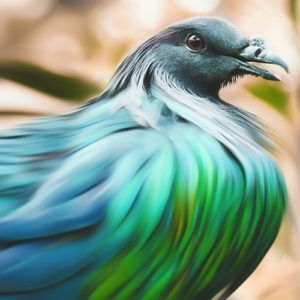 Topaz Studio - Smudge Adjustment