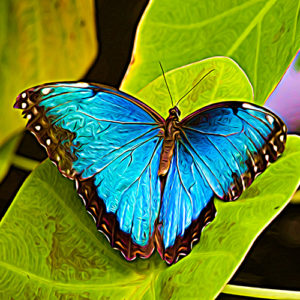 Topaz Studio - Smudge Adjustment