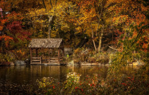 Topaz Studio - Sharpen Adjustment