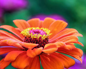 Topaz Studio - Sharpen Adjustment