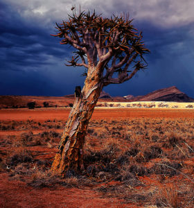 Topaz Studio - Sharpen Adjustment