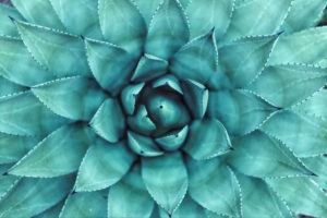 Topaz Studio - Color Overlay Adjustment