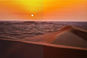 Topaz Studio - Sharpen Adjustment