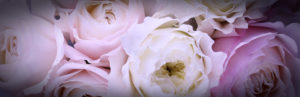 Topaz Studio - Vignette Adjustment