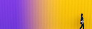 Topaz Studio - HSL Adjustment