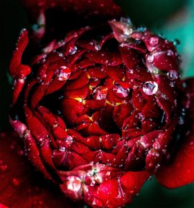 Topaz Studio - Brightness Contrast Adjustment