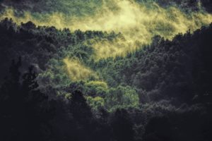 Topaz Studio - Basic Adjustment
