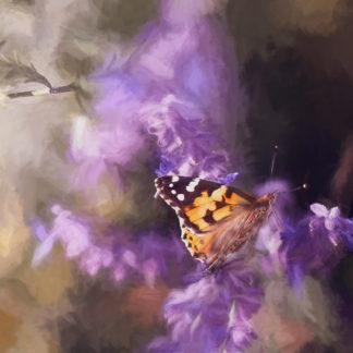 Topaz Studio - Impression Adjustment