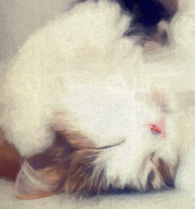 Topaz Studio - Impression Adjustment