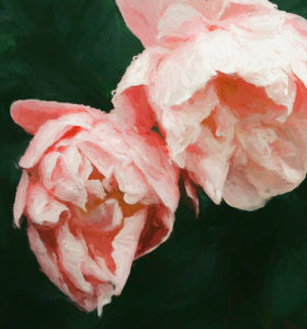 Topaz Studio - Impression Adjustment