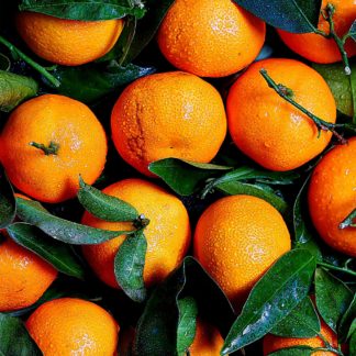 Topaz Studio - Sharpen Adjustment