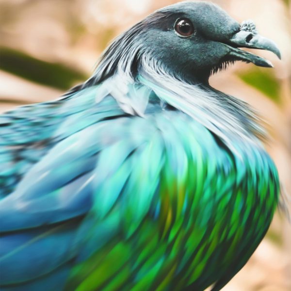 Topaz Studio - Smudge Adjustment