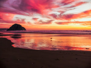 Topaz Studio - Color Theme Adjustment