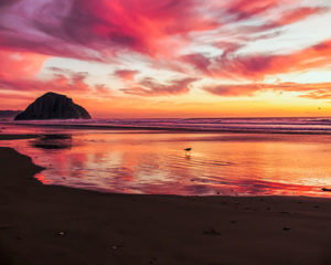 Topaz Studio - Color Theme Adjustment