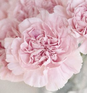 Topaz Studio - Film Grain Adjustment