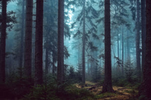 Topaz Studio - DeHaze Adjustment