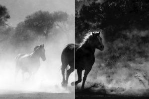 Topaz Studio - DeHaze Adjustment