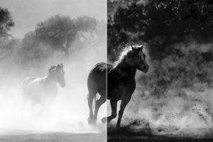 Topaz Studio - DeHaze Adjustment
