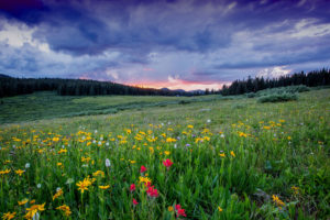 Topaz Studio - Edge Exposure Adjustment