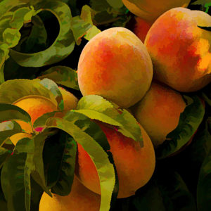 Topaz Studio - Simplify Adjustment