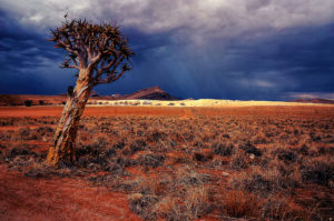 Topaz Studio - Sharpen Adjustment