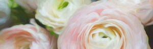 Topaz Studio - Impression Adjustment