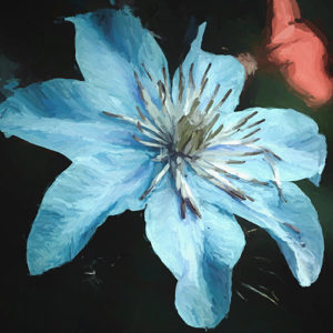 Topaz Studio - Impression Adjustment