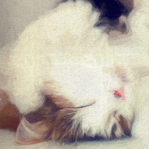 Topaz Studio - Impression Adjustment