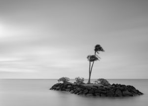 Topaz Studio - Black and White Adjustment