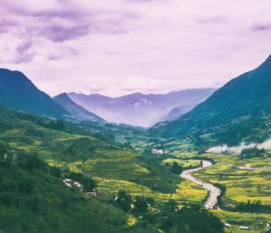 Topaz Studio - Tone Curves Adjustment