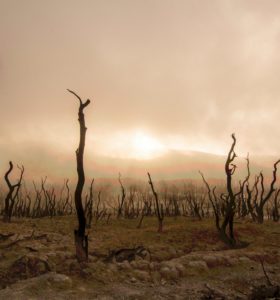 Topaz Studio - Posterize Adjustment