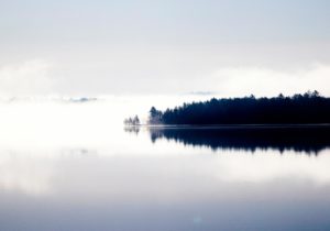 Topaz Studio - Tone Curves Adjustment