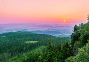 Topaz Studio - Tone Curves Adjustment