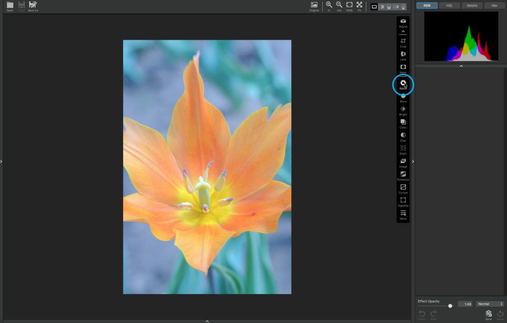 Add a Basic Adjustment in Topaz Studio