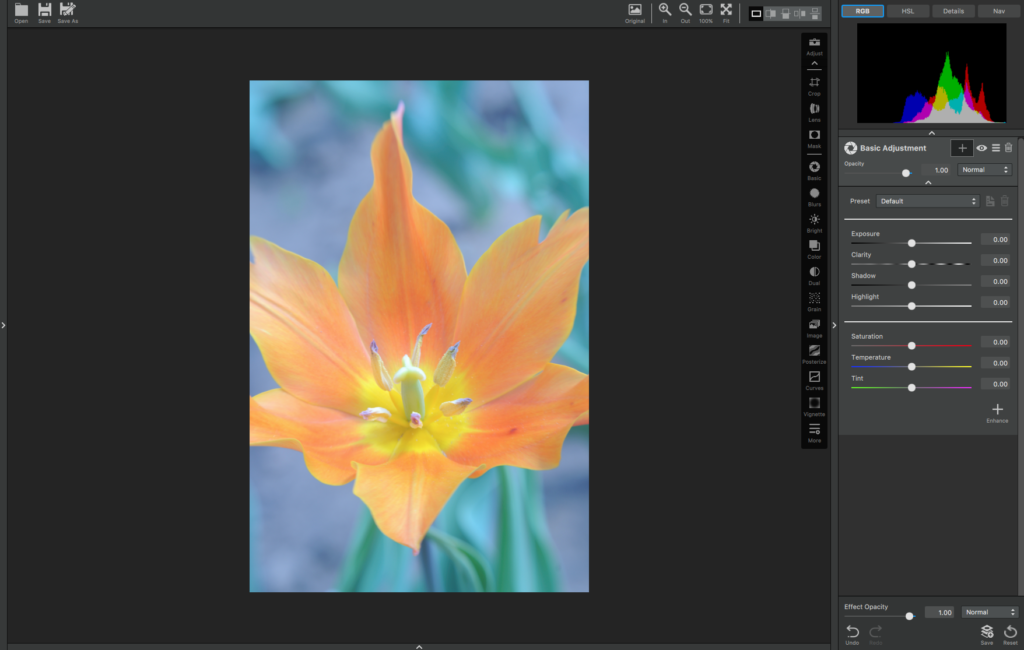 The Basic Adjustment in Topaz Studio