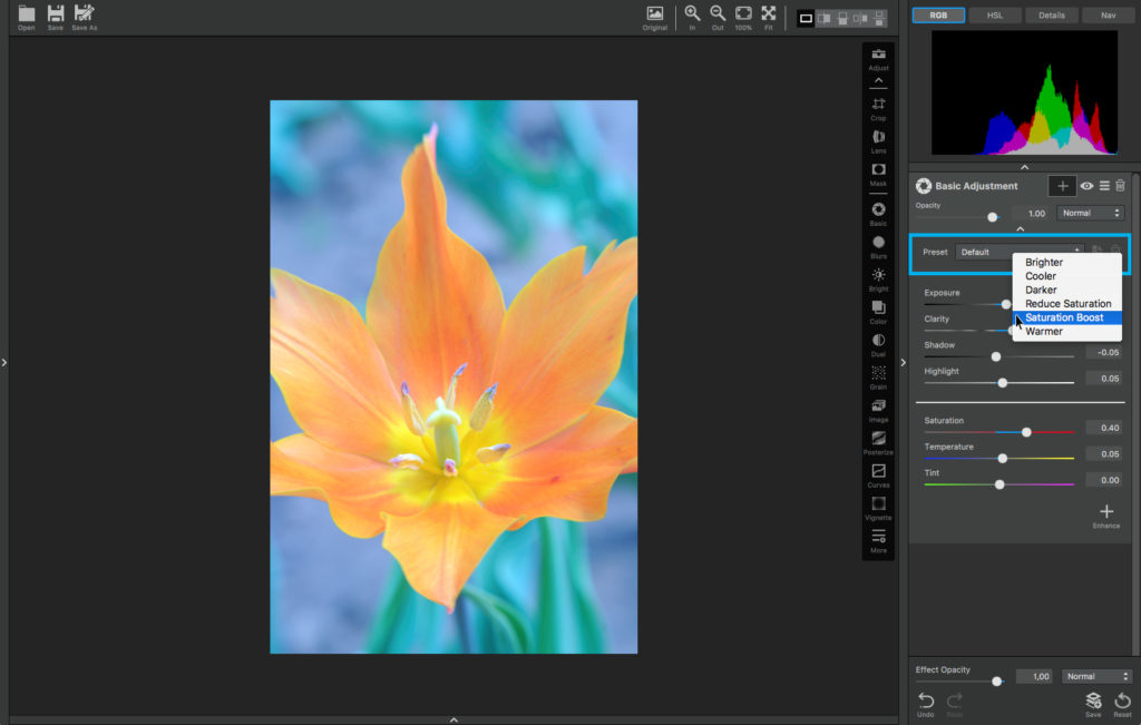 Basic Adjustment Presets