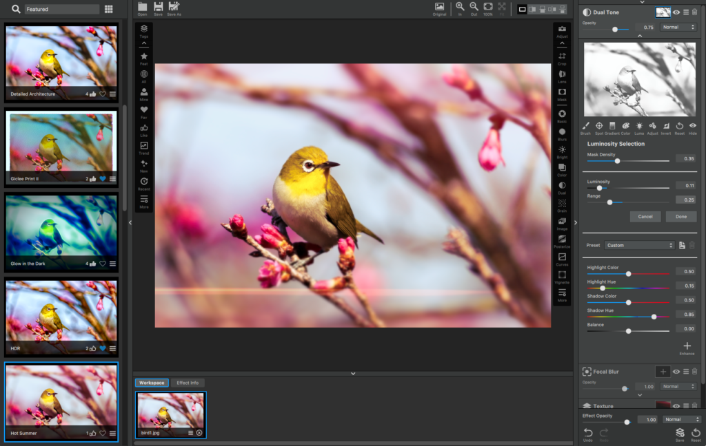 Adjustment Masking in Topaz Studio