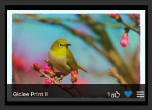 Favorited Effect in Topaz Studio