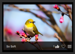 Liked Effect in Topaz Studio