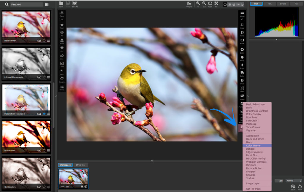 More Adjustments in Topaz Studio
