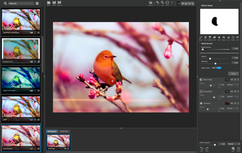Overall Masking in Topaz Studio