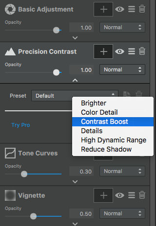 Unlocked Pro Adjustment in Topaz Studio