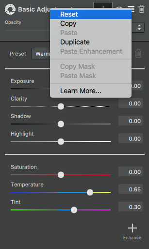 Reset Adjustments in Topaz Studio