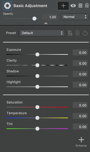 The Basic Adjustment