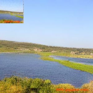A.I. Gigapixel resize normal quality image to 400%